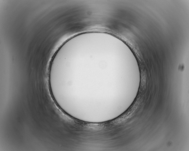 X0000098091478200805021034