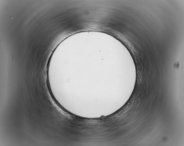 X0000098091479200805021034