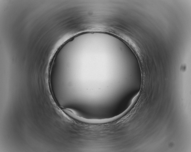 X0000098091480200805021034