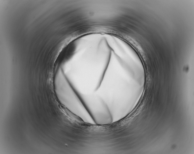 X0000098091481200805021034