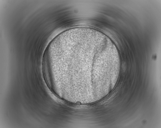 X0000098091482200805021034