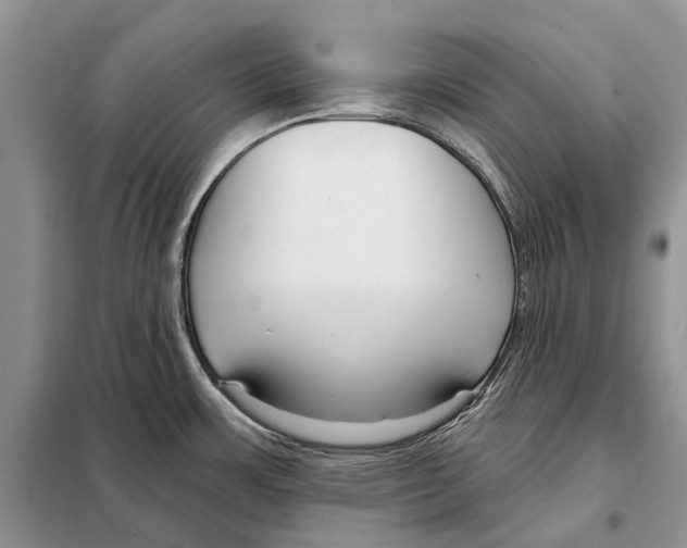 X0000098091483200805021034