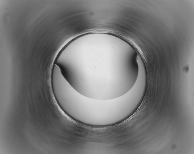 X0000098091484200805021034