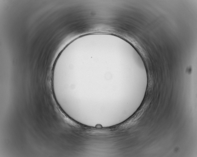 X0000098091486200805021034