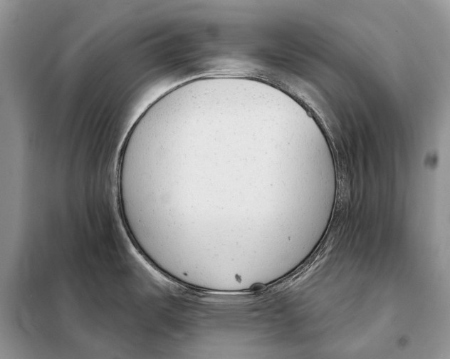 X0000098091487200805021034