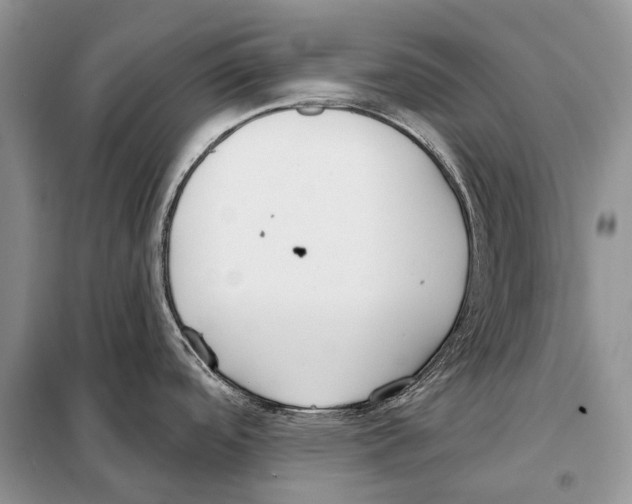 X0000098091488200805021034