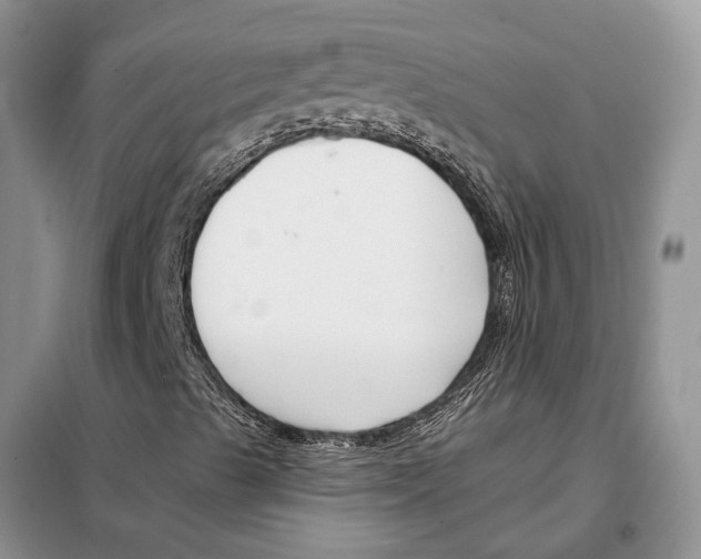 X0000098091489200805021033