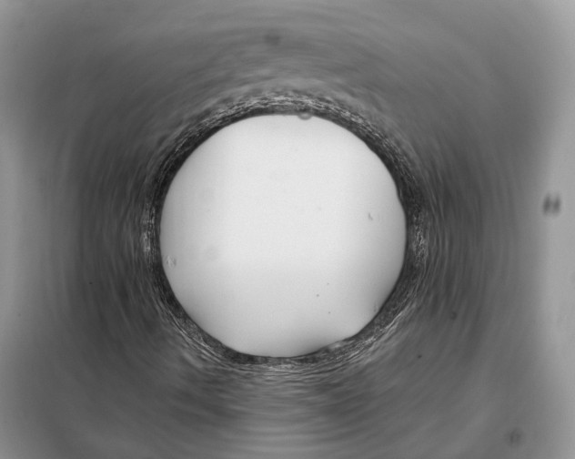 X0000098091490200805021033