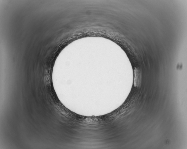 X0000098091491200805021033