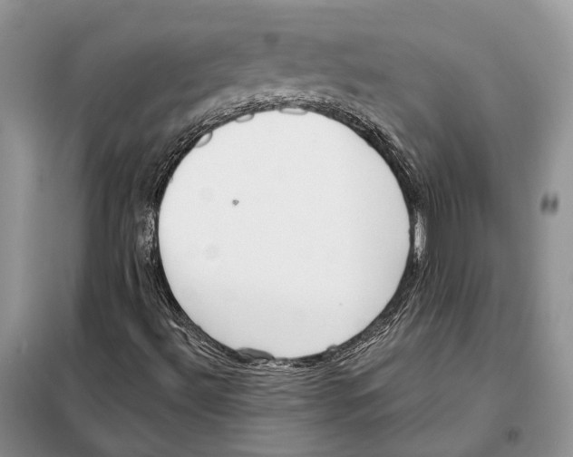 X0000098091492200805021033