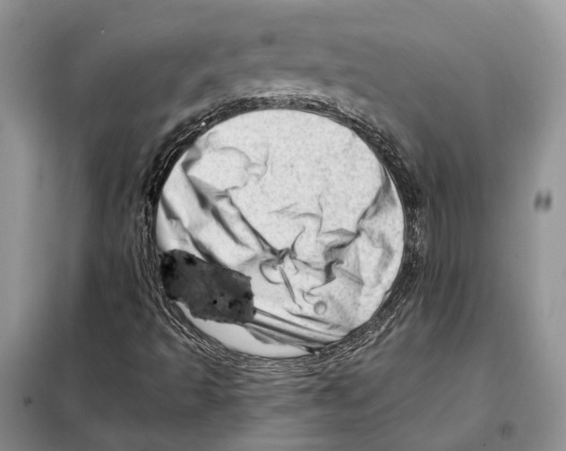 X0000098091493200805021033