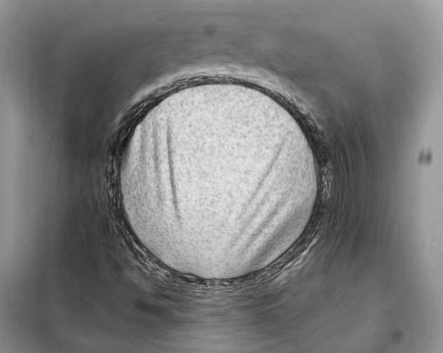 X0000098091494200805021033