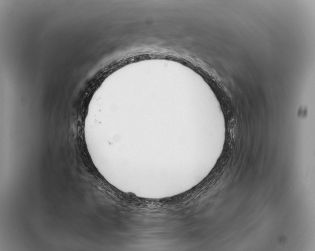 X0000098091495200805021033