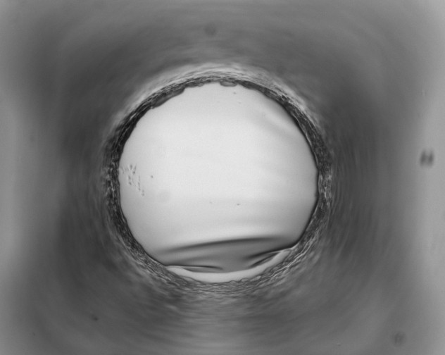 X0000098091496200805021033