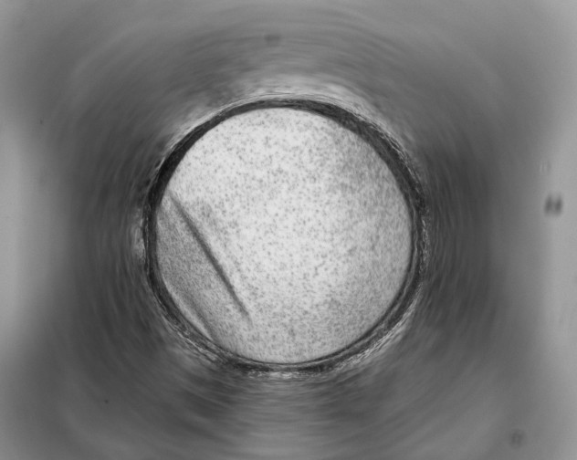 X0000098091497200805021033