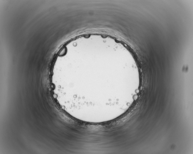 X0000098091498200805021033