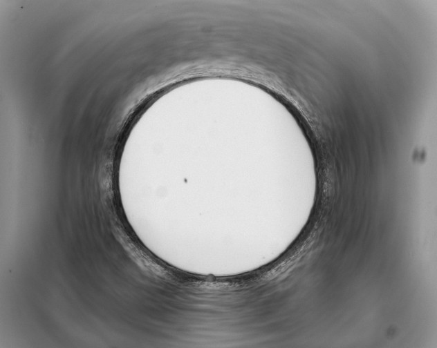 X0000098091499200805021033