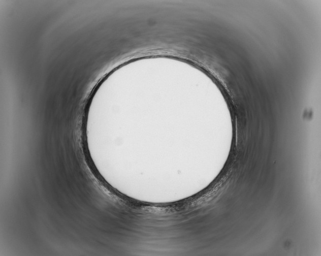 X0000098091500200805021033