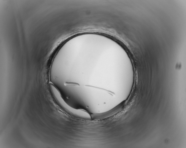 X0000098091501200805021033