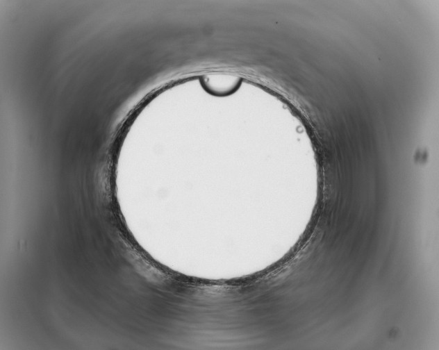 X0000098091502200805021033