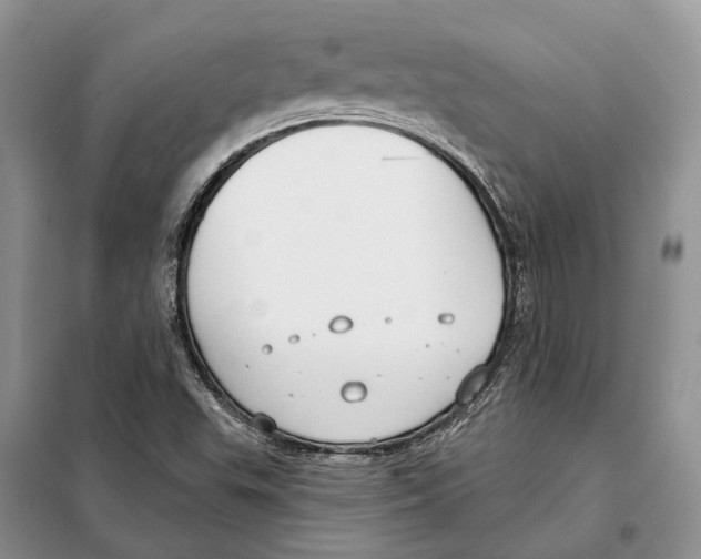 X0000098091503200805021033