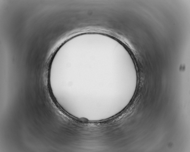 X0000098091504200805021033