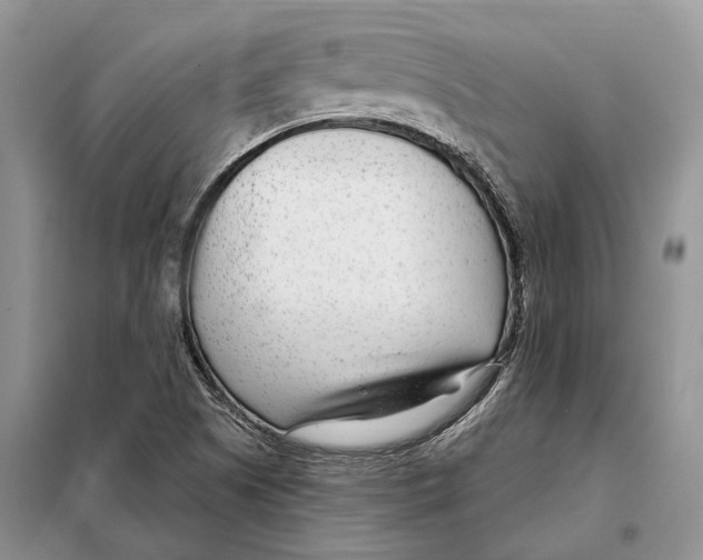 X0000098091505200805021033