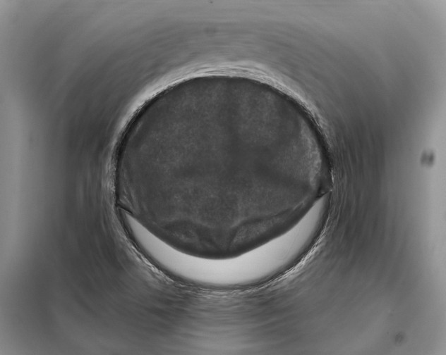 X0000098091506200805021033