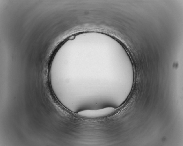 X0000098091507200805021033