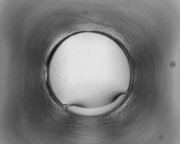 X0000098091509200805021033