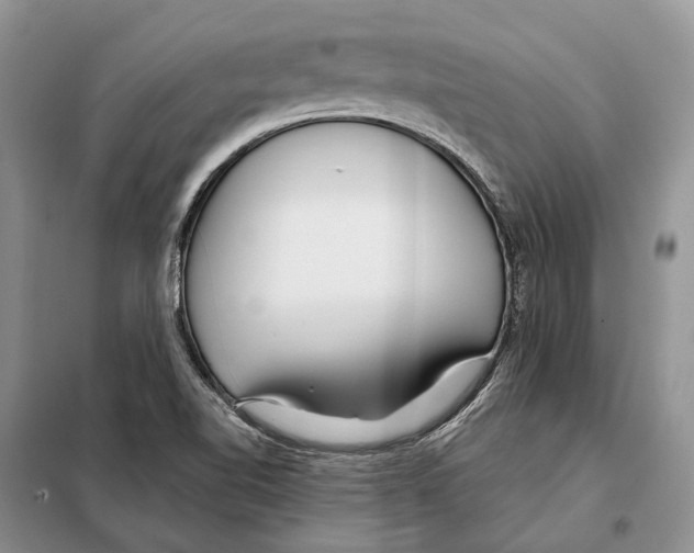 X0000098091510200805021033