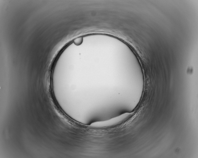 X0000098091511200805021033