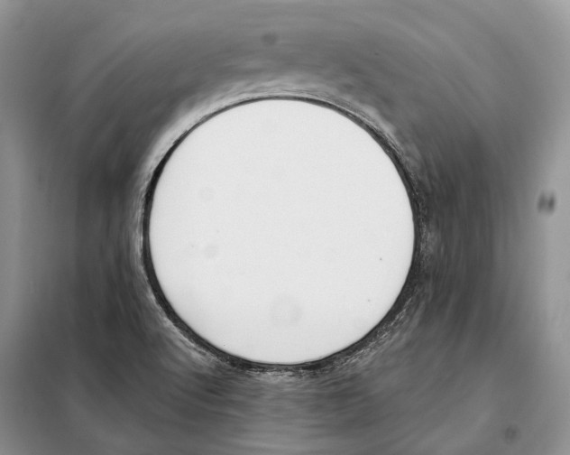 X0000098091512200805021033