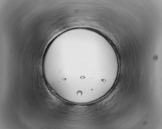 X0000098091513200805021033