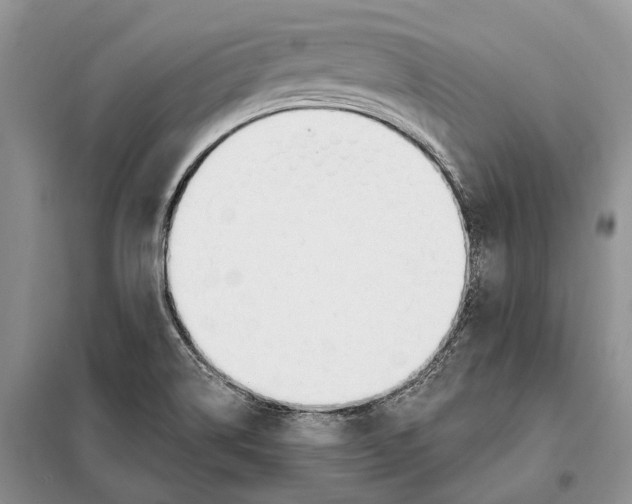 X0000098091514200805021033