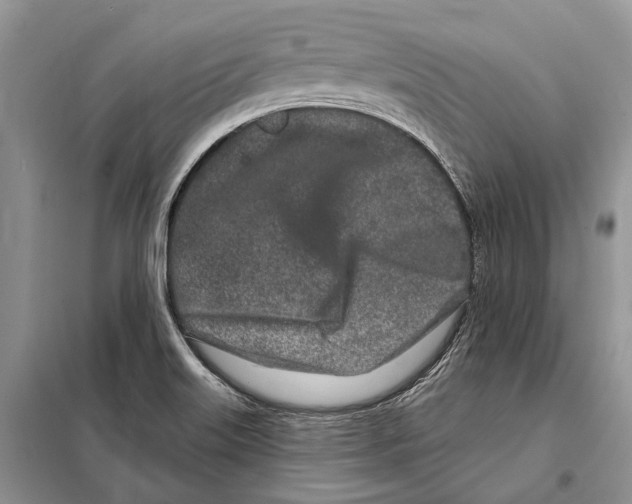 X0000098091515200805021033