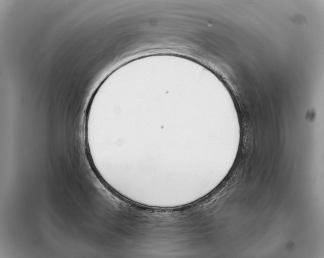 X0000098091516200805021033