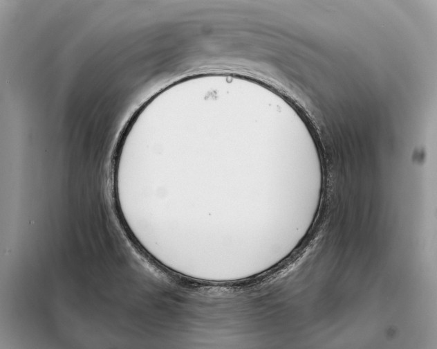 X0000098091517200805021034