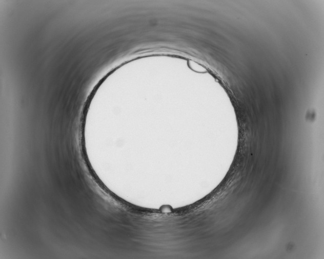 X0000098091518200805021034