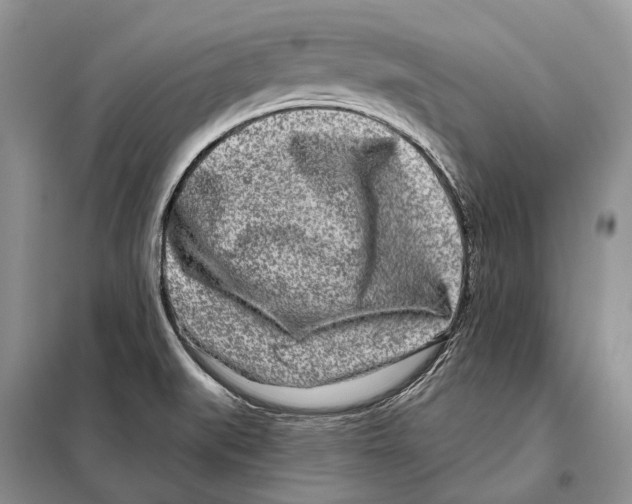 X0000098091519200805021034