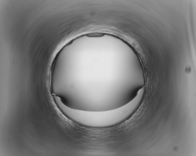 X0000098091520200805021034