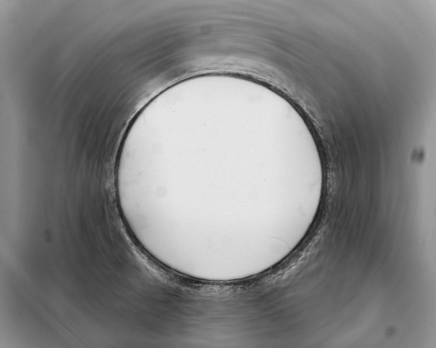 X0000098091521200805021034