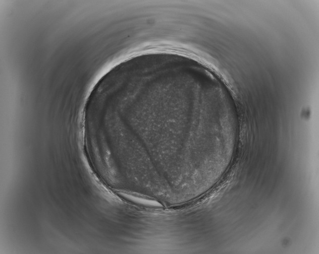 X0000098091522200805021034