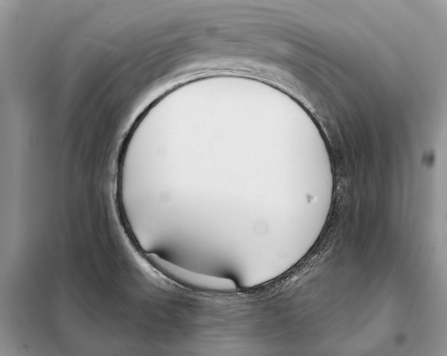 X0000098091523200805021034