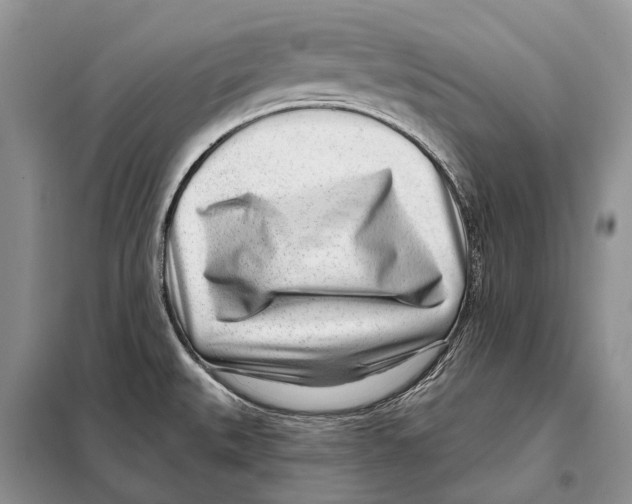 X0000098091527200805021034