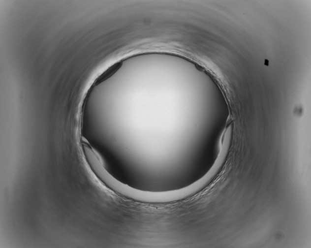 X0000098091528200805021034