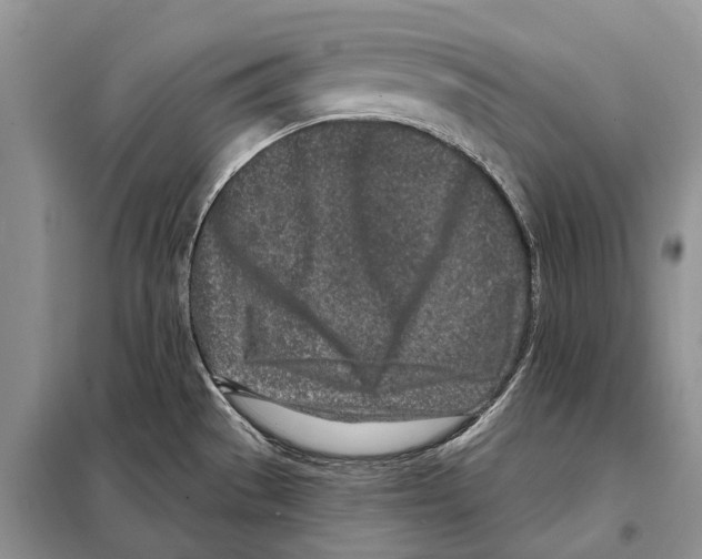 X0000098091529200805021034