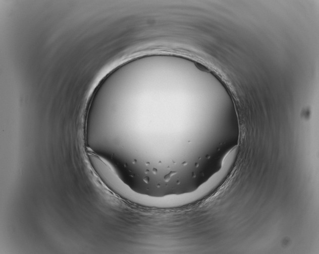 X0000098091530200805021034