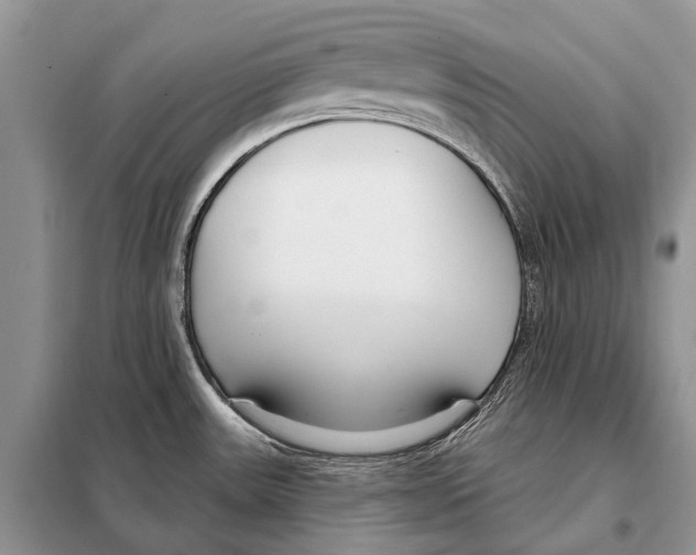 X0000098091531200805021034