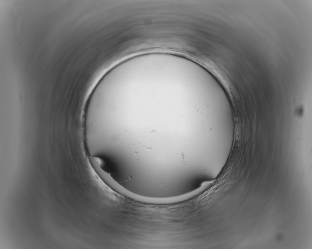 X0000098091532200805021034